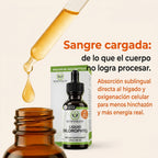 Liquid Chlorophyll — Clorofila Líquida en Gotas
