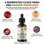 Liquid Chlorophyll — Clorofila Líquida en Gotas