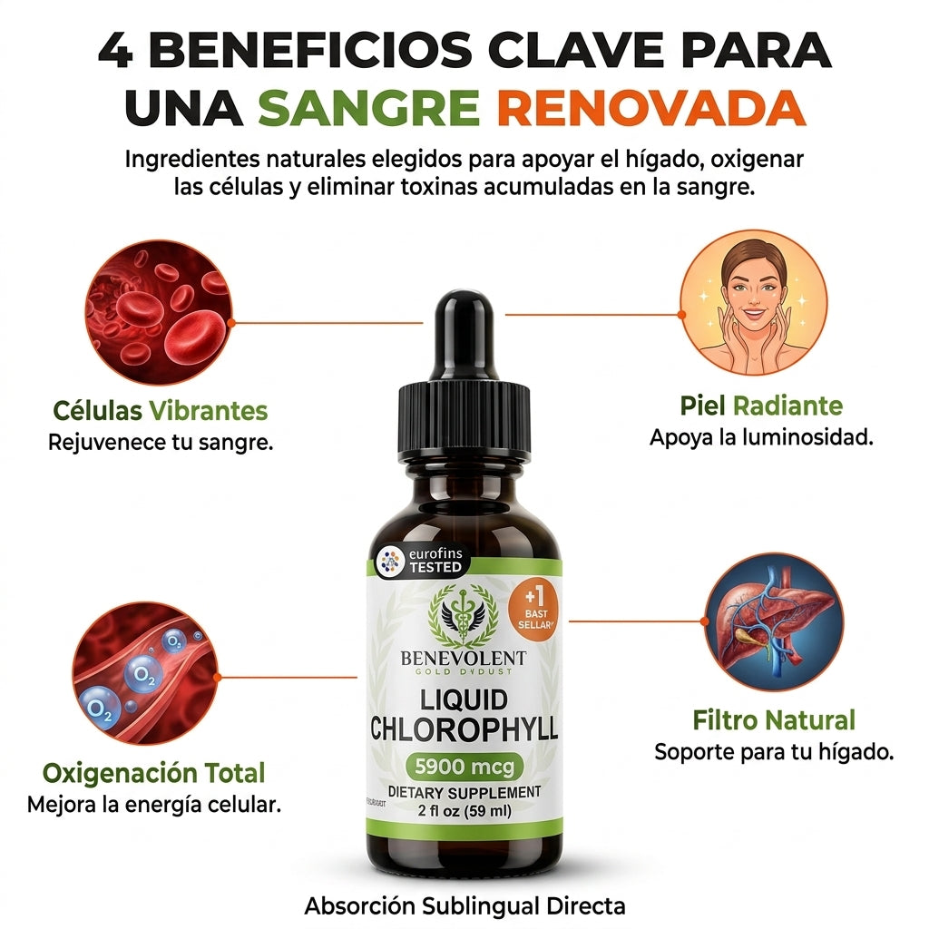 Liquid Chlorophyll — Clorofila Líquida en Gotas